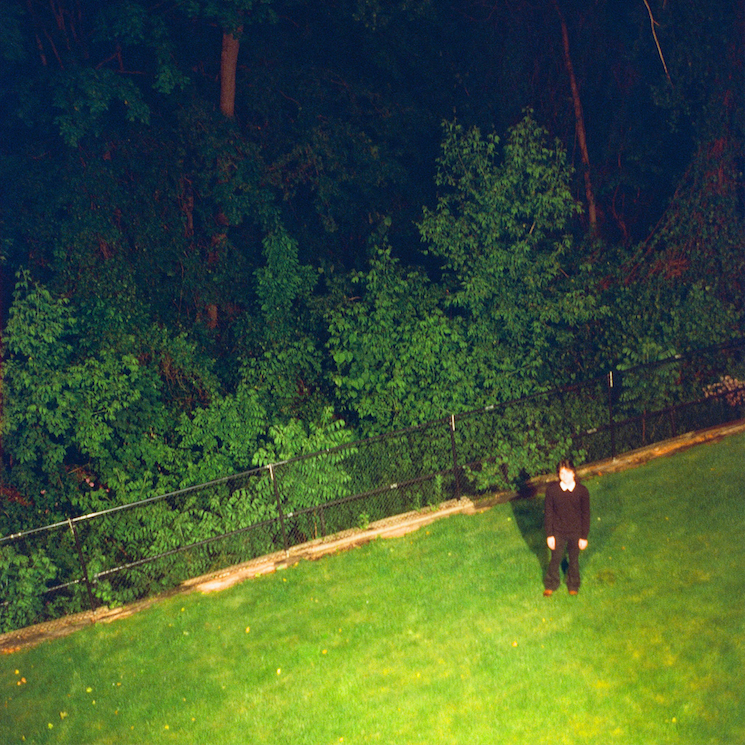 VERONA FLORRIST DEBUT LP